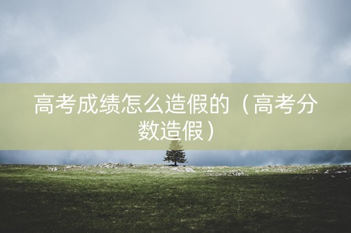 高考成绩怎么造假的（高考分数造假）