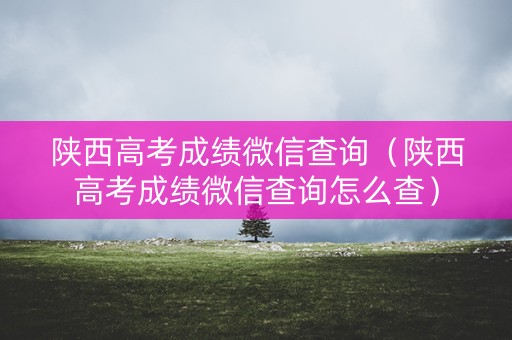陕西高考成绩微信查询（陕西高考成绩微信查询怎么查）