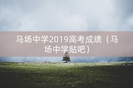 马场中学2019高考成绩（马场中学贴吧）