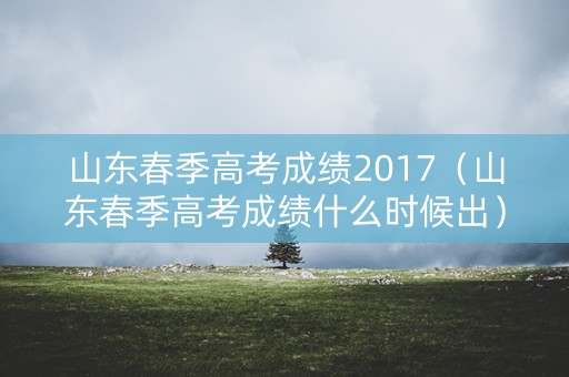 山东春季高考成绩2017（山东春季高考成绩什么时候出）