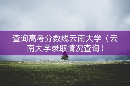 查询高考分数线云南大学（云南大学录取情况查询）