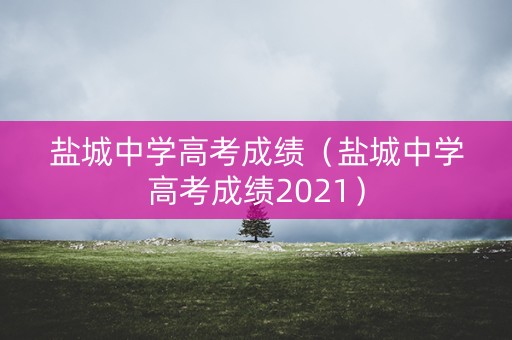 盐城中学高考成绩(盐城中学高考成绩2021) 盐城中学高考成绩(盐城中学高考成绩2021)