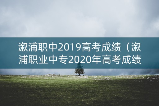 溆浦职中2019高考成绩（溆浦职业中专2020年高考成绩）