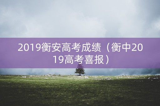 2019衡安高考成绩（衡中2019高考喜报）