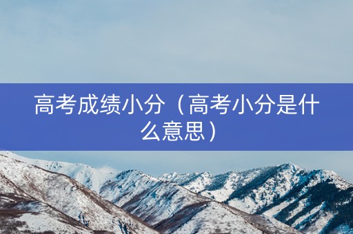 高考成绩小分（高考小分是什么意思）