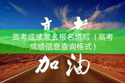 高考成绩怎么报名填写（高考成绩信息查询格式）