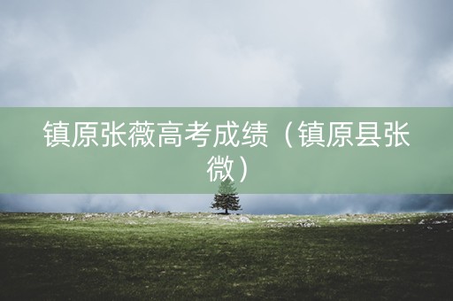 镇原张薇高考成绩（镇原县张微）