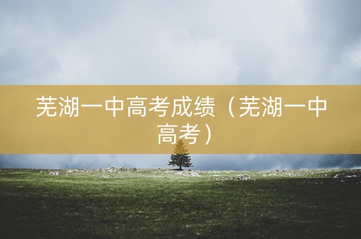 芜湖一中高考成绩（芜湖一中 高考）