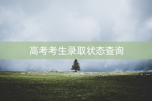 高考考生录取状态查询