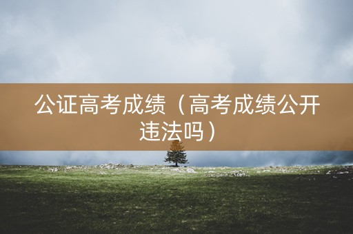 公证高考成绩（高考成绩公开违法吗）
