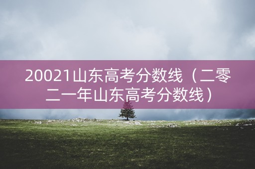 20021山东高考分数线(二零二一年山东高考分数线) 20021山东高考分数线(二零二一年山东高考分数线)