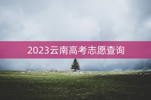 2023云南高考志愿查询