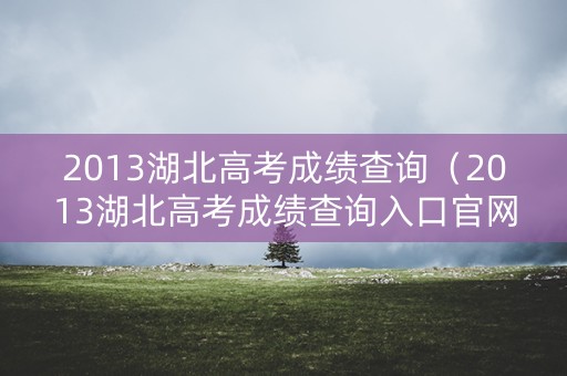 2013湖北高考成绩查询（2013湖北高考成绩查询入口官网）