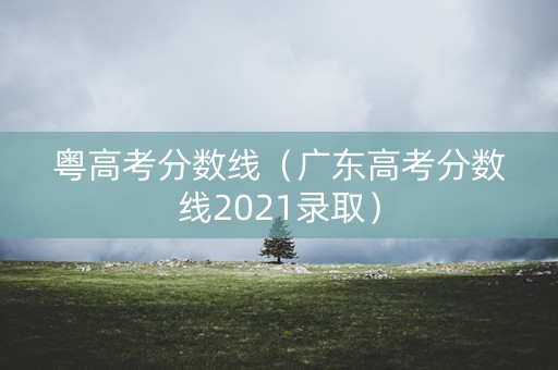 粤高考分数线（广东高考分数线2021录取）