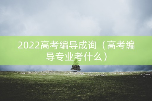 2022高考编导成询（高考编导专业考什么）