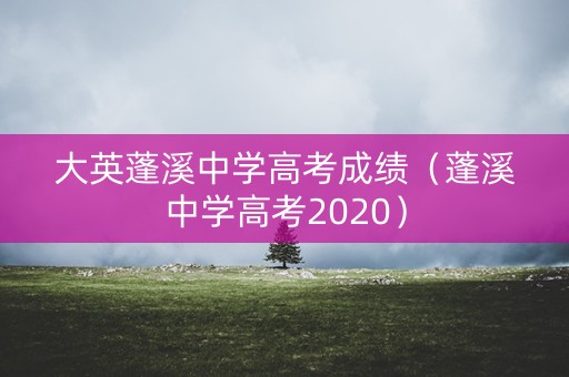 大英蓬溪中学高考成绩（蓬溪中学高考2020）