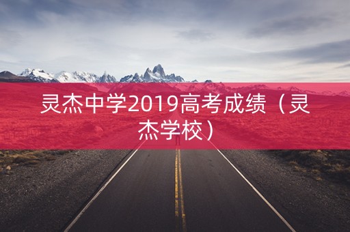 灵杰中学2019高考成绩（灵杰学校）