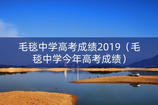 毛毯中学高考成绩2019（毛毯中学今年高考成绩）
