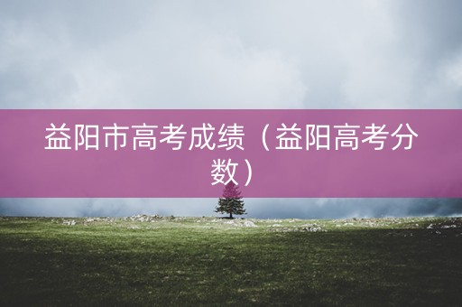 益阳市高考成绩（益阳高考分数）