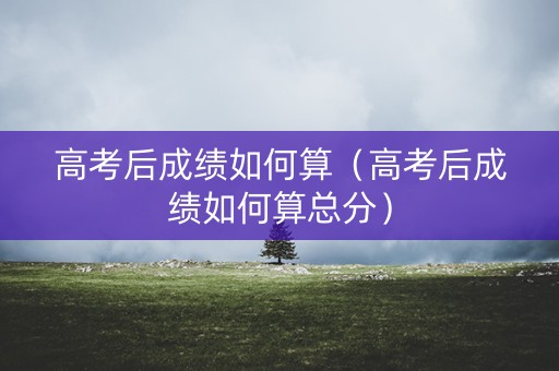 高考后成绩如何算（高考后成绩如何算总分）