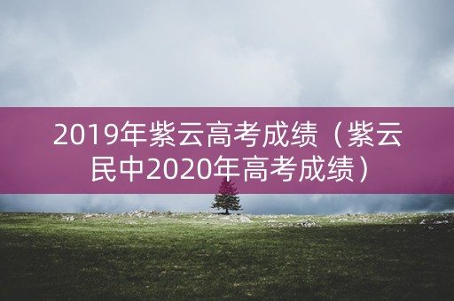 2019年紫云高考成绩（紫云民中2020年高考成绩）