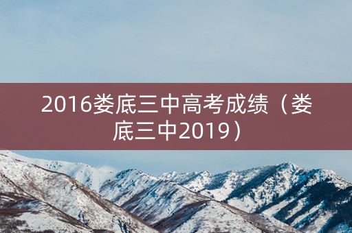 2016娄底三中高考成绩（娄底三中2019）