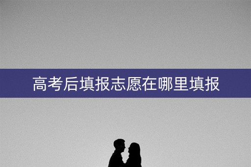 高考后填报志愿在哪里填报