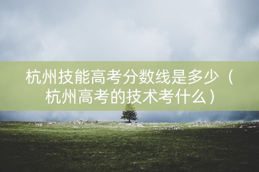 杭州技能高考分数线是多少(杭州高考的技术考什么) 杭州技能高考分数线是多少(杭州高考的技术考什么)