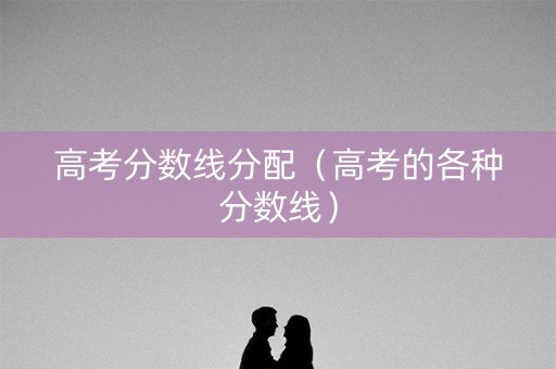 高考分数线分配（高考的各种分数线）