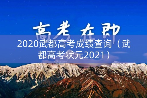 2020武都高考成绩查询（武都高考状元2021）
