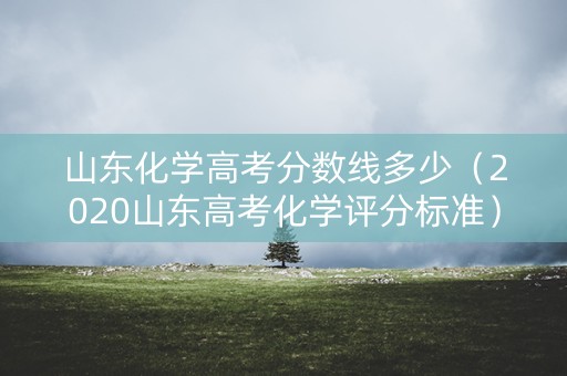 山东化学高考分数线多少（2020山东高考化学评分标准）