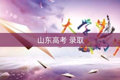 山东高考 录取