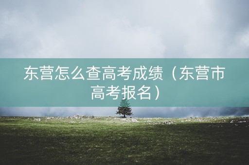 东营怎么查高考成绩(东营市高考报名) 东营怎么查高考成绩(东营市高考报名)