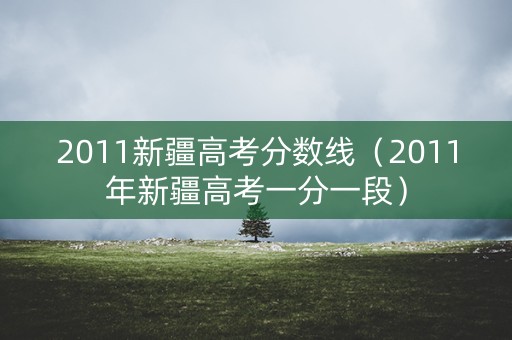 2011新疆高考分数线（2011年新疆高考一分一段）