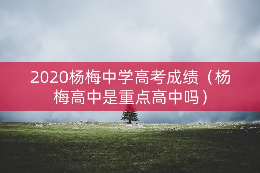 2020杨梅中学高考成绩（杨梅高中是重点高中吗）