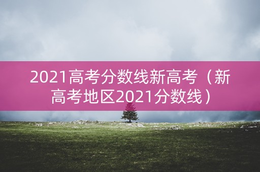 2021高考分数线新高考（新高考地区2021分数线）
