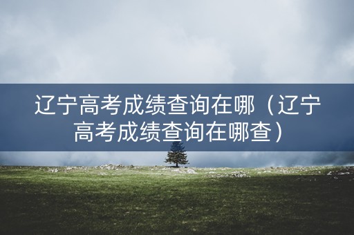 辽宁高考成绩查询在哪（辽宁高考成绩查询在哪查）