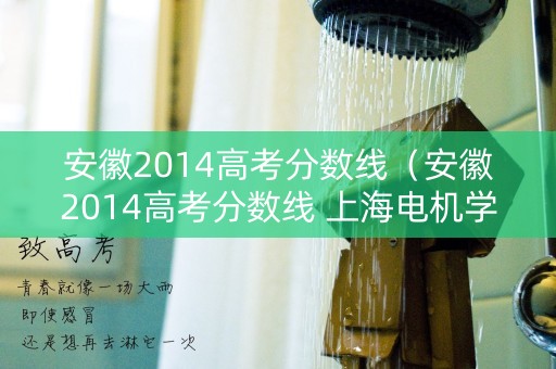 安徽2014高考分数线（安徽2014高考分数线 上海电机学院国际贸易中外合作）