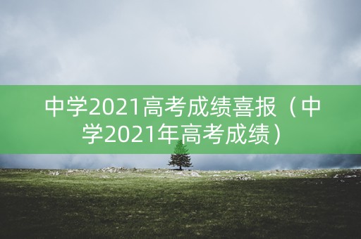 中学2021高考成绩喜报（中学2021年高考成绩）