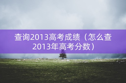查询2013高考成绩（怎么查2013年高考分数）
