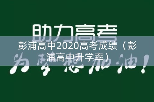彭浦高中2020高考成绩（彭浦高中升学率）