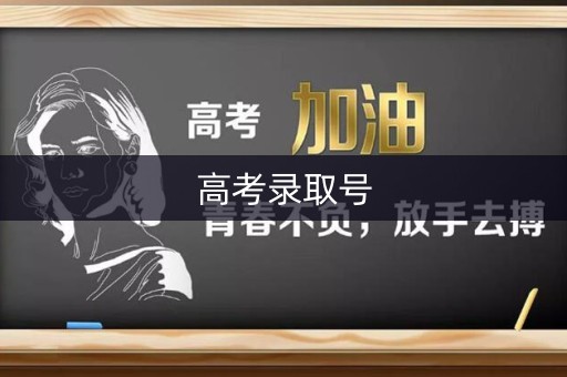 高考录取号