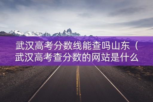 武汉高考分数线能查吗山东（武汉高考查分数的网站是什么）