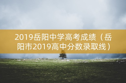 2019岳阳中学高考成绩（岳阳市2019高中分数录取线）