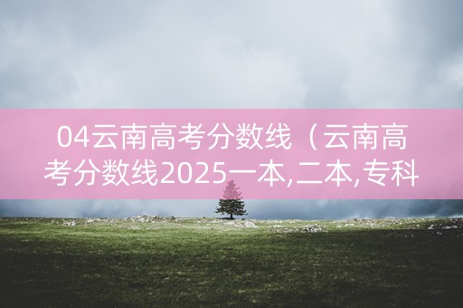 04云南高考分数线（云南高考分数线2025一本,二本,专科）