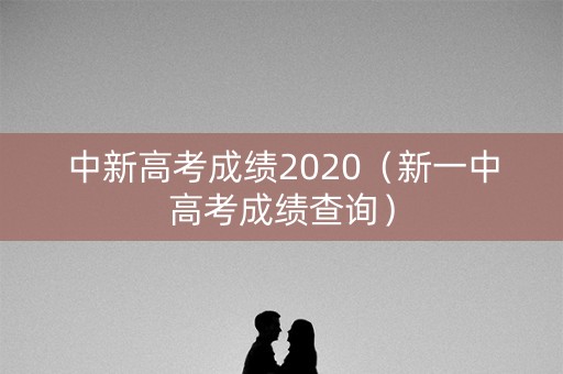 中新高考成绩2020（新一中高考成绩查询）
