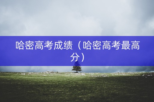 哈密高考成绩（哈密高考最高分）