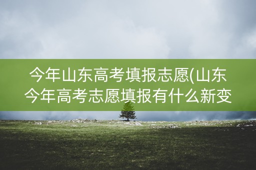 今年山东高考填报志愿(山东今年高考志愿填报有什么新变化) 今年山东高考填报志愿(山东今年高考志愿填报有什么新变化)