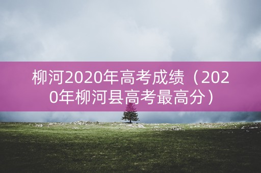 柳河2020年高考成绩（2020年柳河县高考最高分）