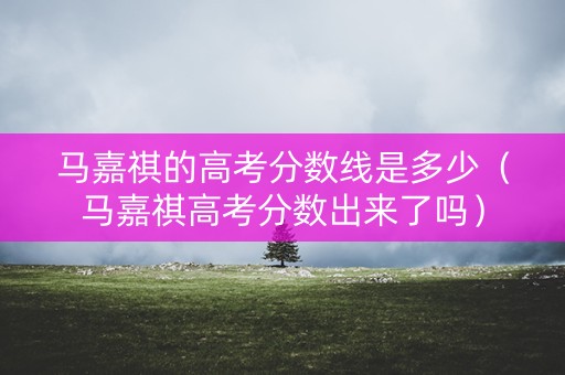 马嘉祺的高考分数线是多少（马嘉祺高考分数出来了吗）